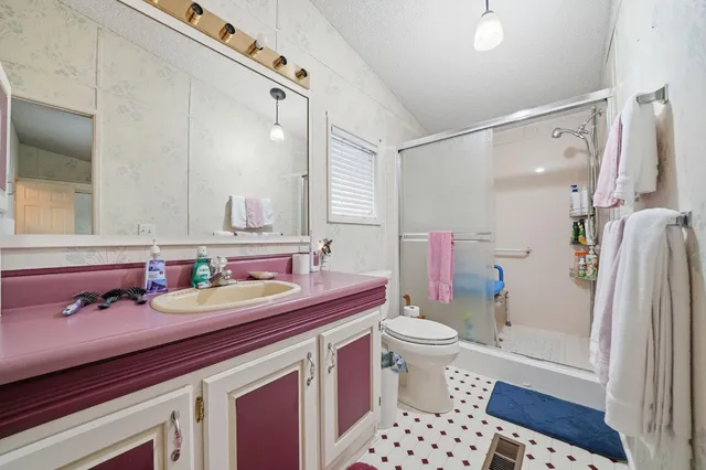 a bathroom with a sink a toilet a mirror a vanity and shower