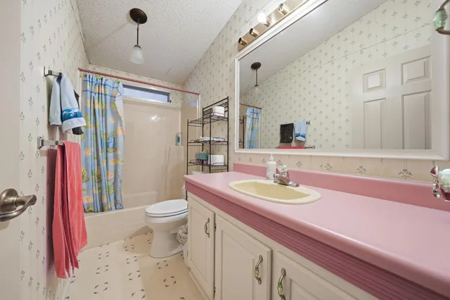 a bathroom with a sink a toilet and a mirror