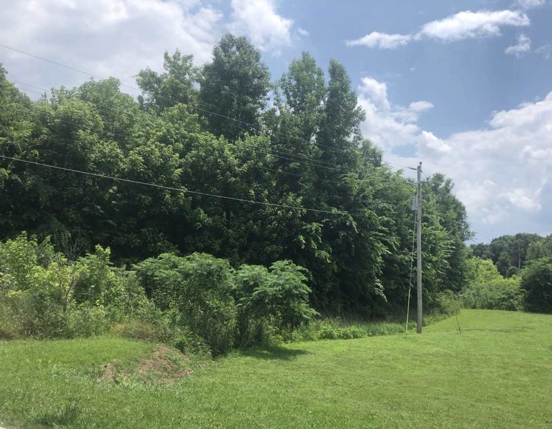 0 Sanders Road Humboldt, TN 38343 - Photo 1 of 1 Photo 1
