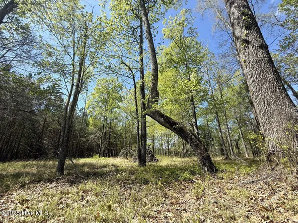 $69,900 | Lot 48 Sunset Point, Belhaven, NC 27810
