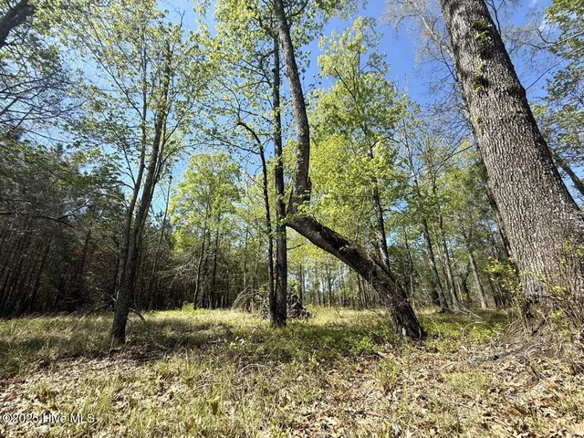 $69,900 | Lot 48 Sunset Point, Belhaven, NC 27810