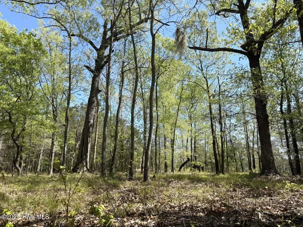 $69,900 | Lot 48 Sunset Point, Belhaven, NC 27810