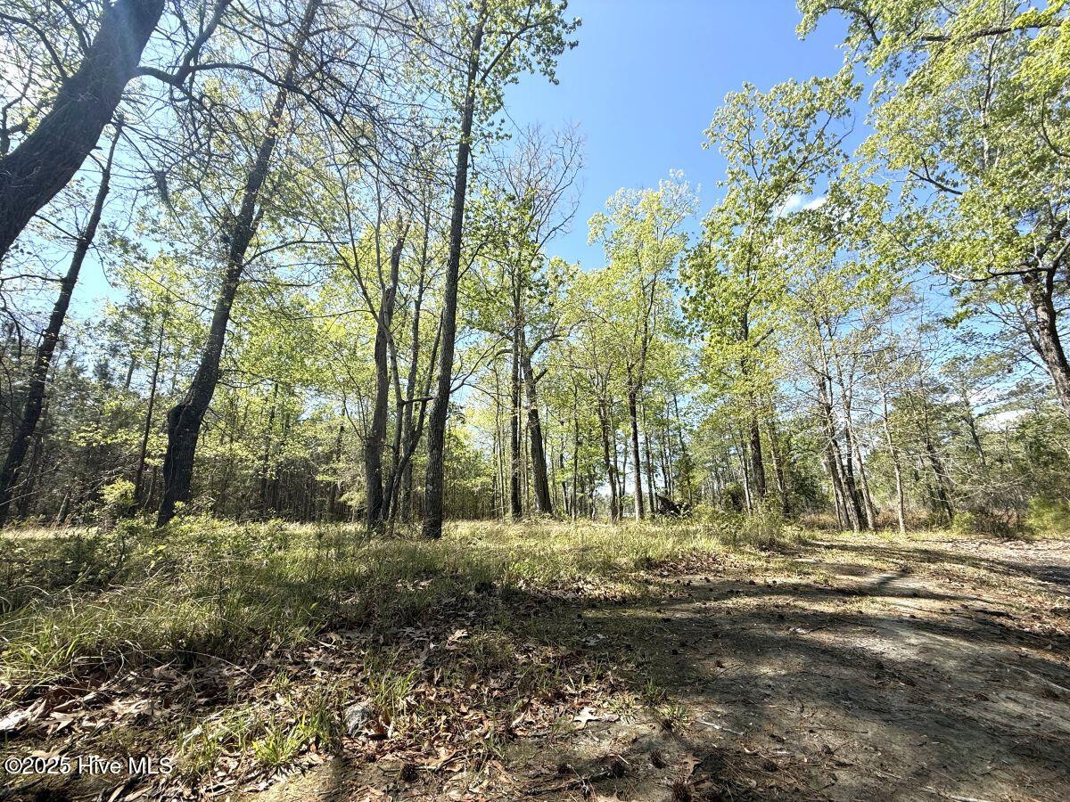 Lot 48 Sunset Point Belhaven, NC 27810 - Photo 15 of 20 15