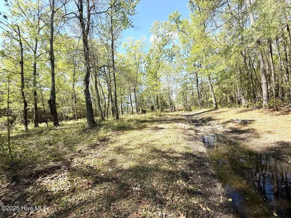 $69,900 | Lot 48 Sunset Point, Belhaven, NC 27810