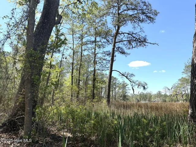 $69,900 | Lot 48 Sunset Point, Belhaven, NC 27810