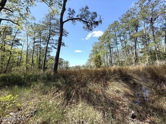 $69,900 | Lot 48 Sunset Point, Belhaven, NC 27810