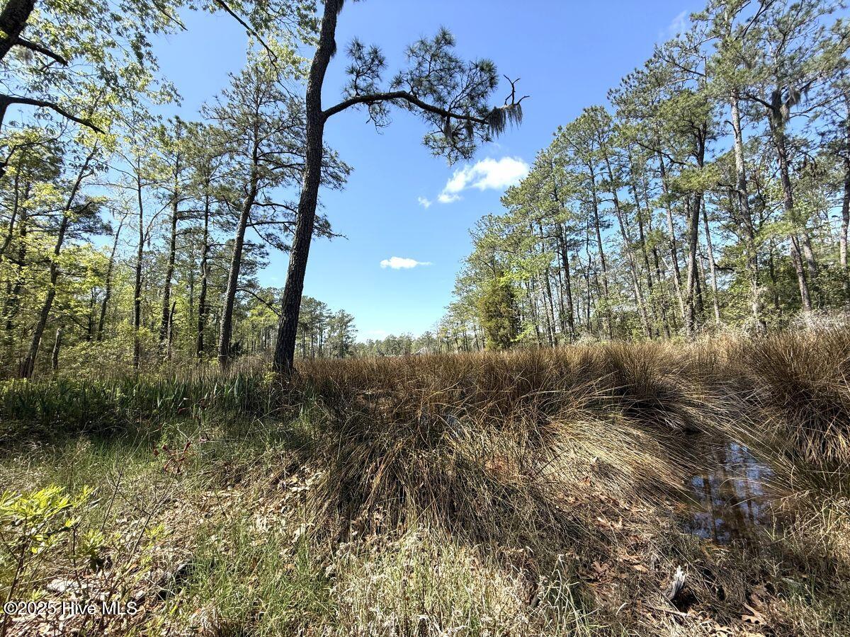 Lot 48 Sunset Point Belhaven, NC 27810 - Photo 18 of 20 18