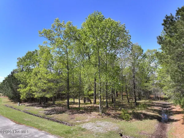 $69,900 | Lot 48 Sunset Point, Belhaven, NC 27810