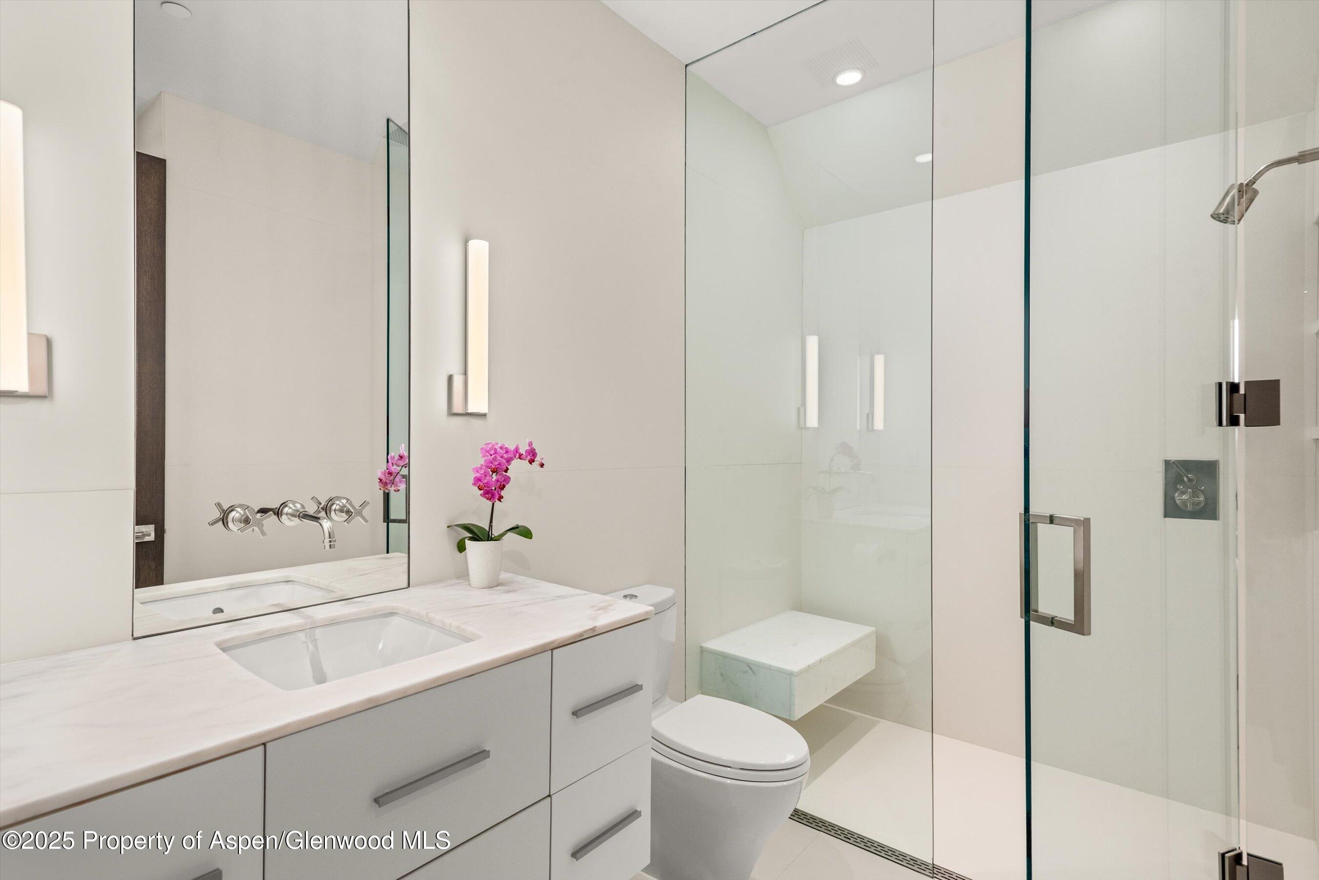 1162 Tiehack Road Aspen, CO 81611 - Photo 21 of 41 Guest Bathroom