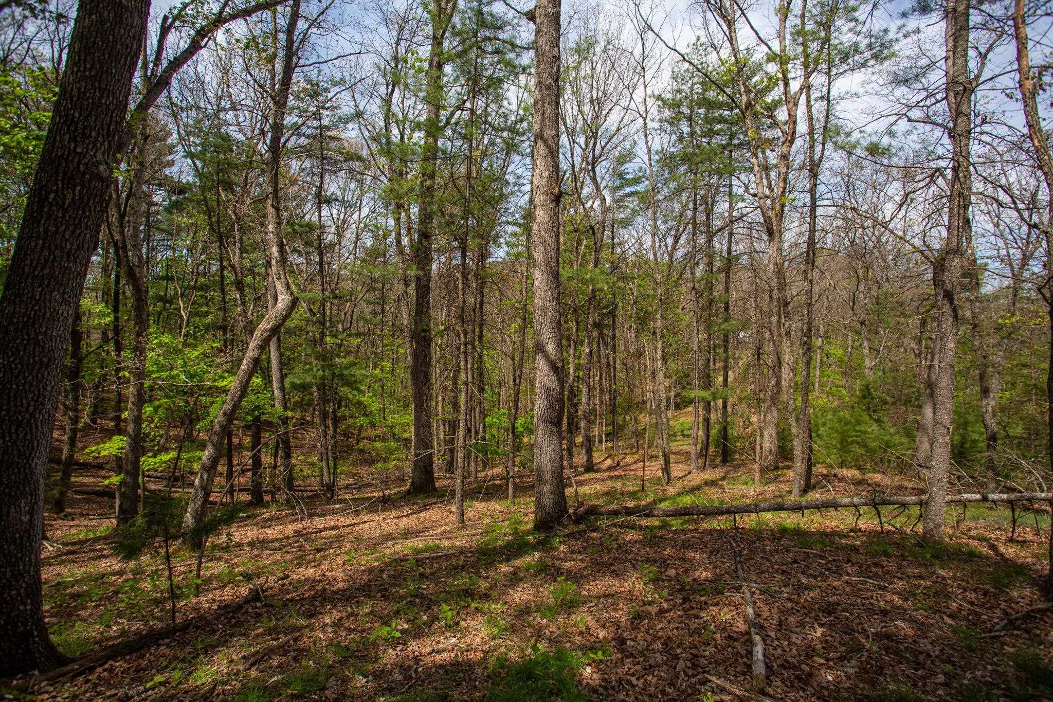 324 Mountaintop Drive Mathias, WV 26812 - Photo 26 of 27 Great spot for "She Shed"