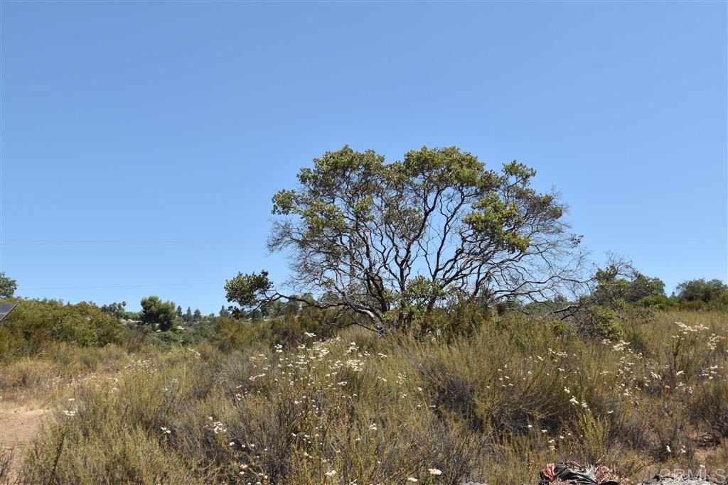 10 Bratton Valley Road Jamul, CA 91935 - Photo 9 of 15
