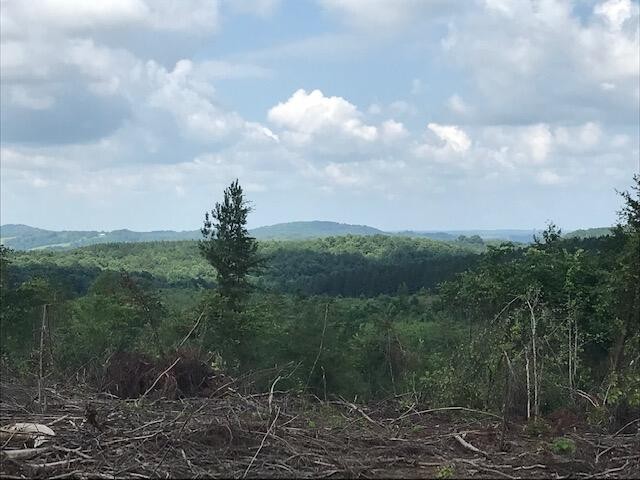 7 County Road 963 Calhoun, TN 37309 - Photo 10 of 10