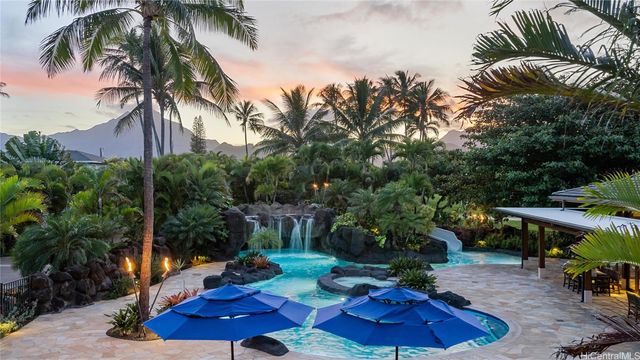 a view of a backyard with plants and palm tree