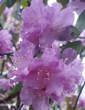 $355,000 | 5204 Pillar Way, Fort Ann, NY 12827