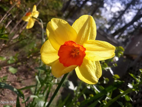 $355,000 | 5204 Pillar Way, Fort Ann, NY 12827