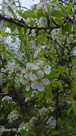 $355,000 | 5204 Pillar Way, Fort Ann, NY 12827