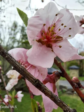 $375,000 | 5204 Pillar Way, Fort Ann, NY 12827