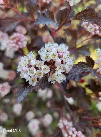 $375,000 | 5204 Pillar Way, Fort Ann, NY 12827