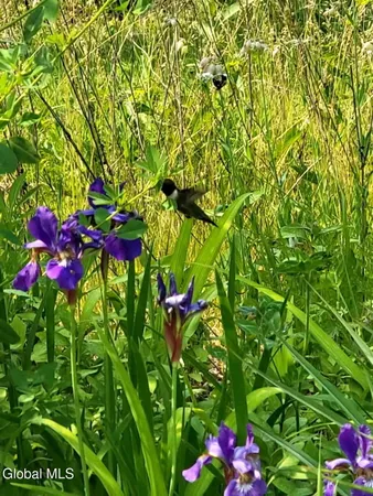 $375,000 | 5204 Pillar Way, Fort Ann, NY 12827