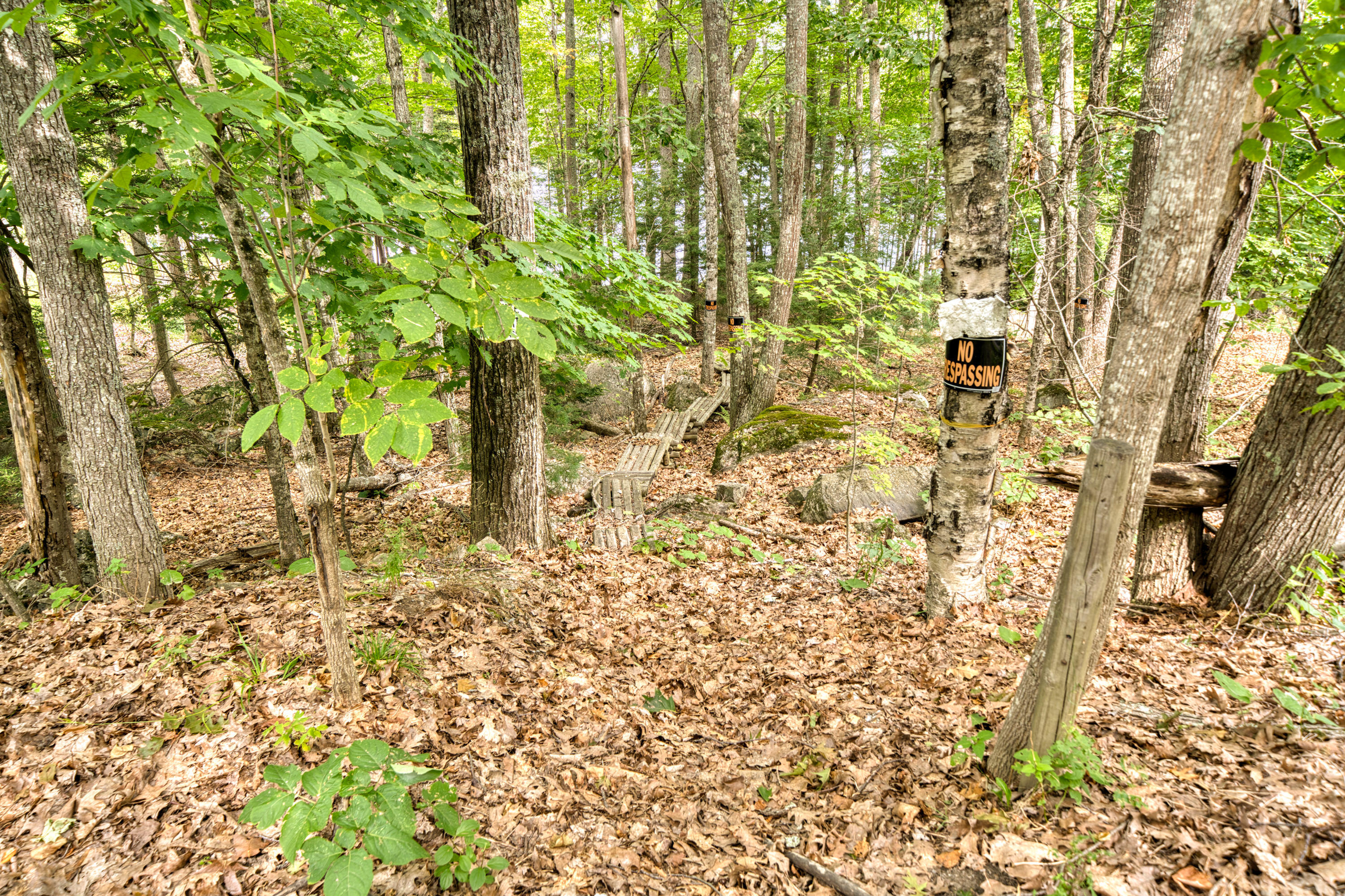 999 Brewer Lake Road Orrington, ME 04474 - Photo 30 of 36 Right of Way path to water-2