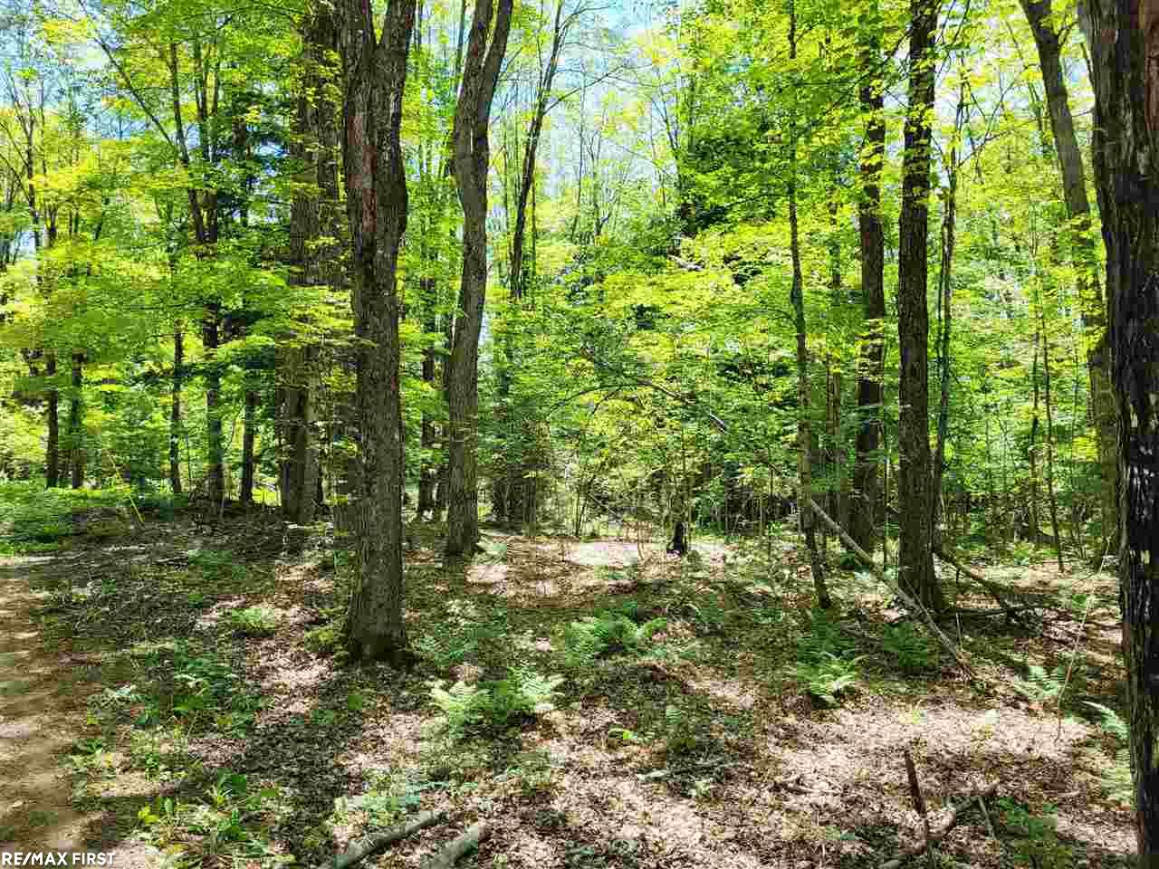 0 Engman Lake Access Road Skandia, MI 49885 - Photo 12 of 17