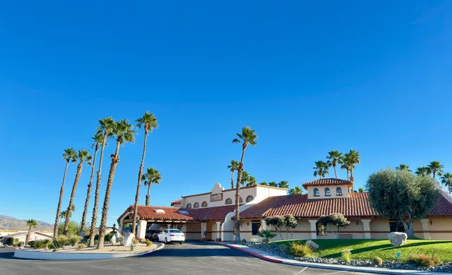a view of a yard with plants