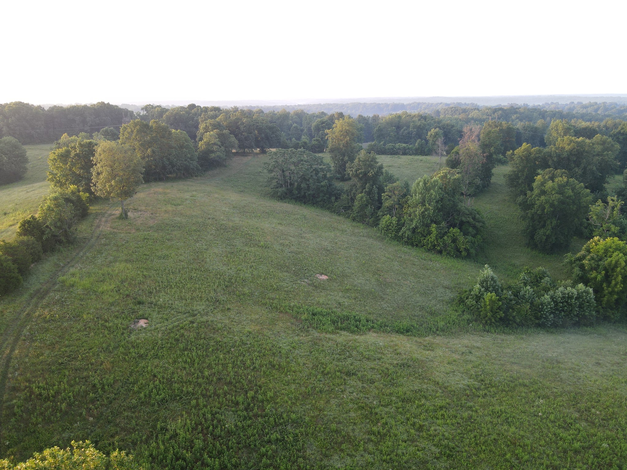 4 Shiloh Canaan Road Palmyra, TN 37142 - Photo 16 of 24 Gallery Image 16