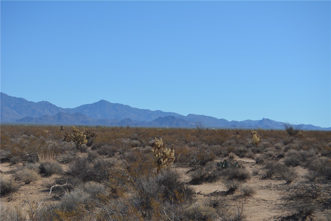 207-35-005 South Arlington Road Yucca, AZ 86438 - Photo 12 of 92