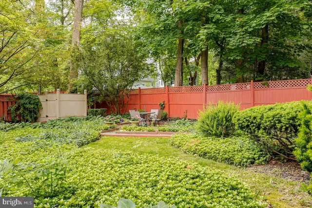 a view of a backyard