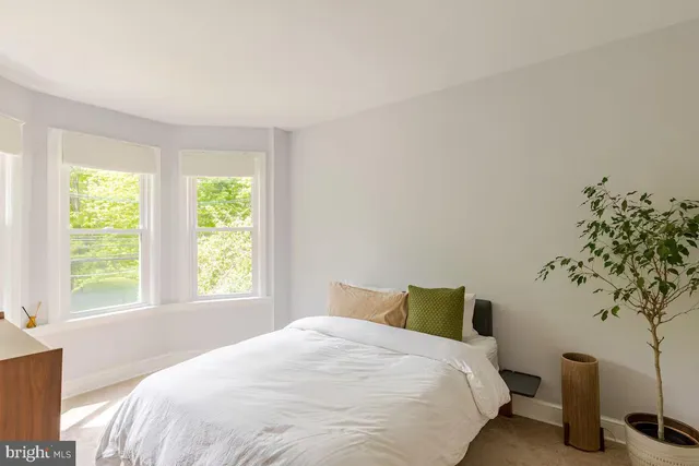 a bedroom with a bed and a plant
