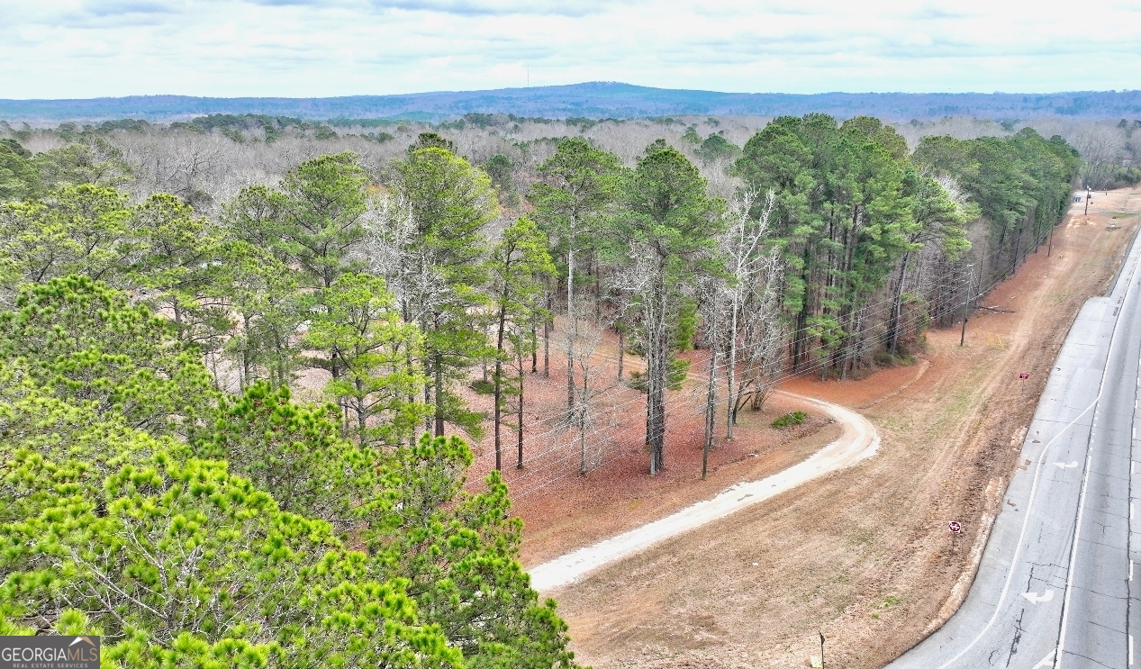 103 Silver Dollar Road Barnesville, GA 30204 - Photo 5 of 6