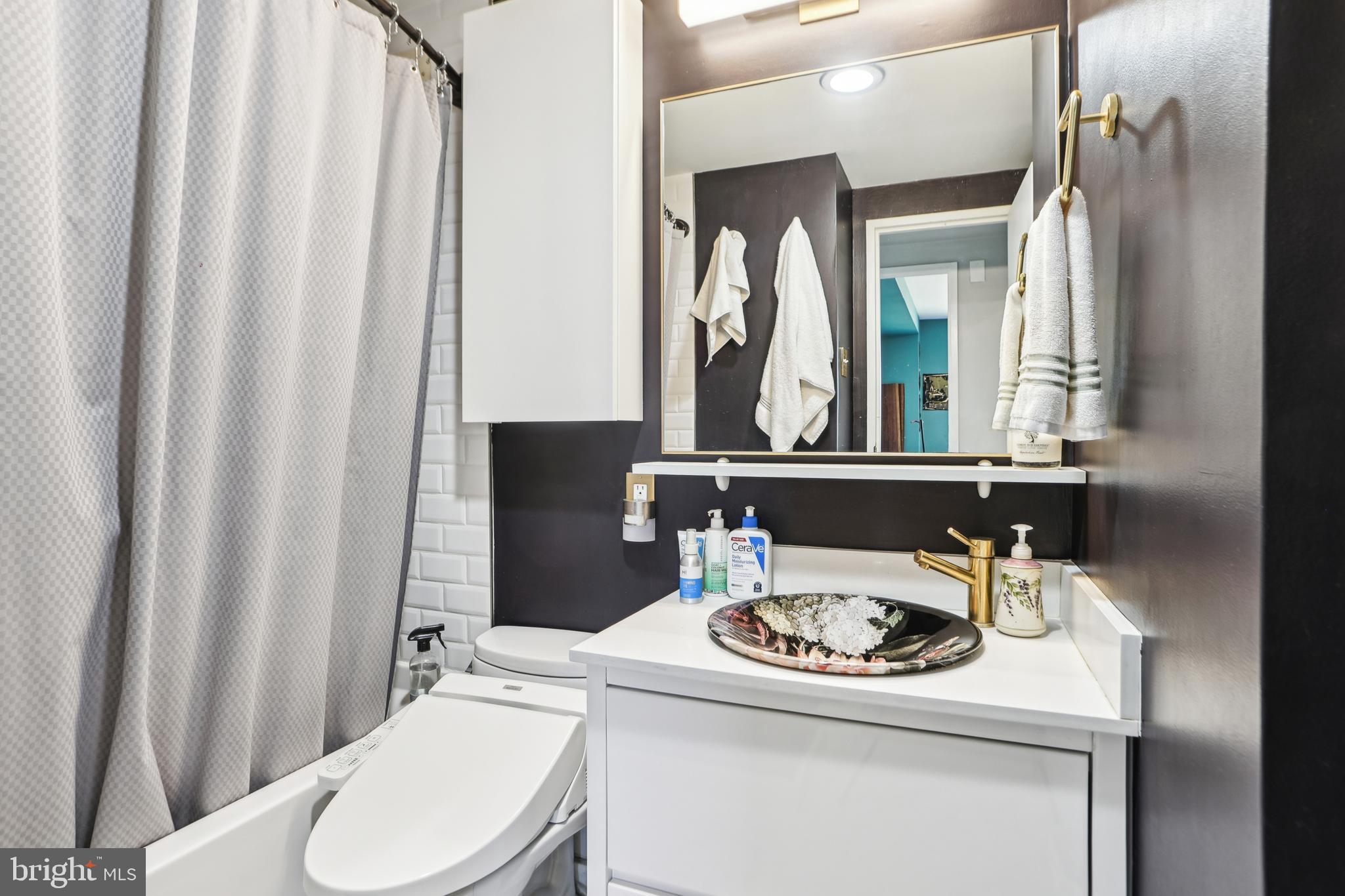 1900 Lyttonsville Road, Unit 1204 Silver Spring, MD 20910 - Photo 16 of 30 Bathroom