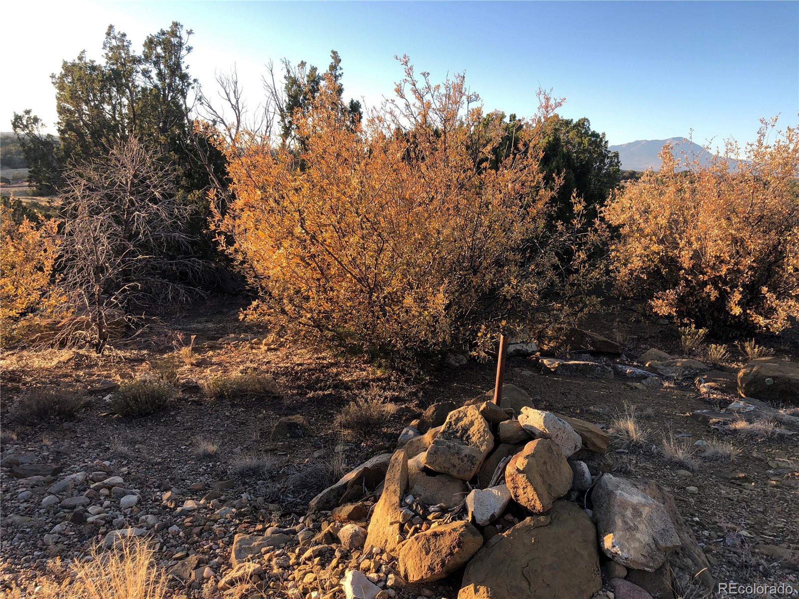 517 Rio Cucharas Phs 2 Walsenburg Co  