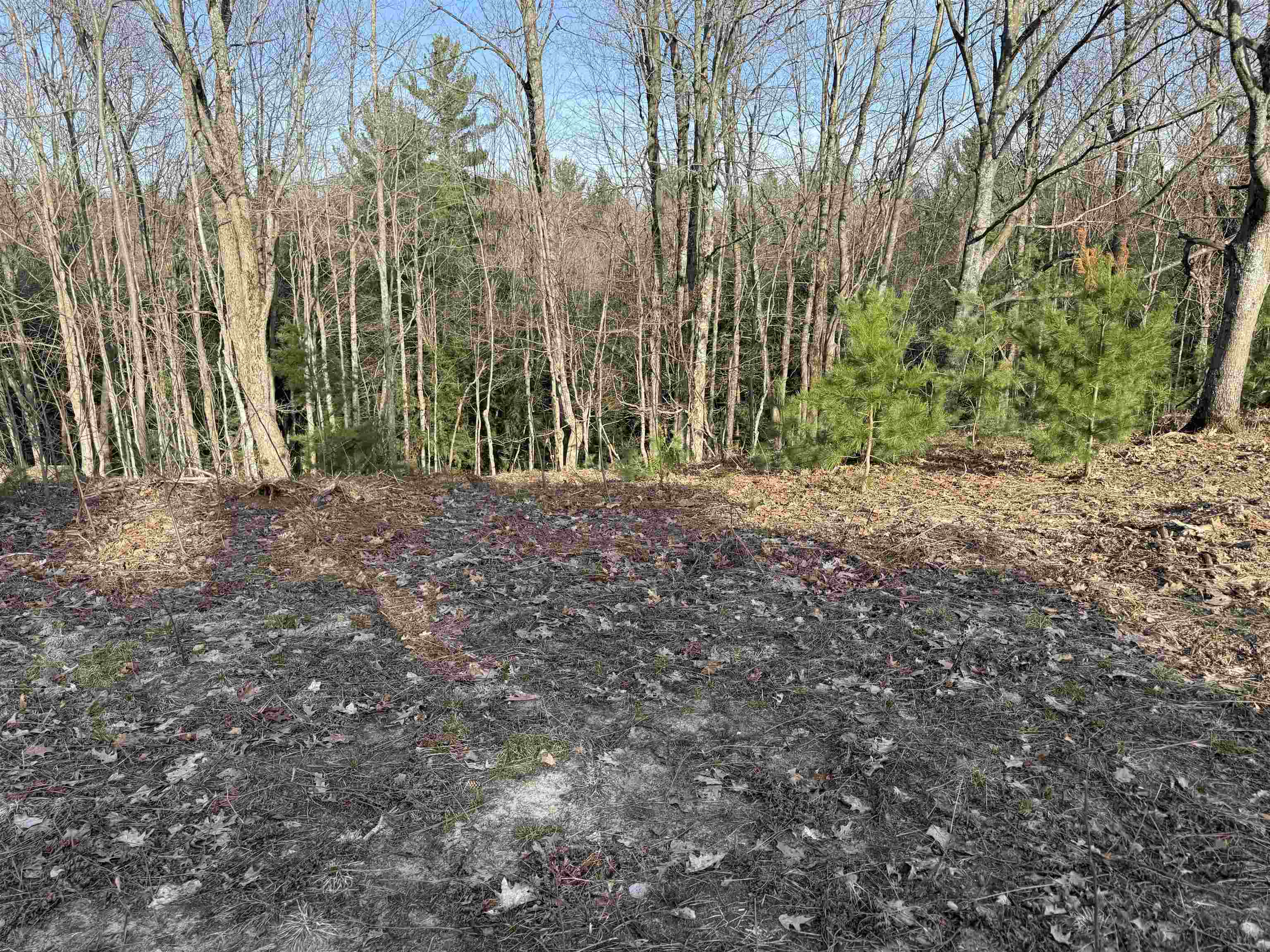 Parcel D North Carmean Road Interlochen, MI 49643 - Photo 11 of 12