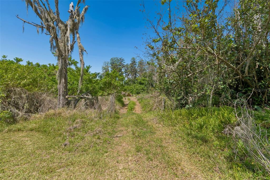 212 Crystal Lake Road Lutz, FL 33548 - Photo 15 of 25