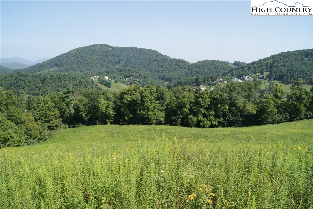 Hartley Knob Boone, NC 28607 - Photo 1 of 11 a view of an lush green mountain