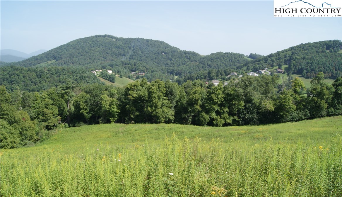 Hartley Knob Boone, NC 28607 - Photo 11 of 11 a view of a field with a tree in the background