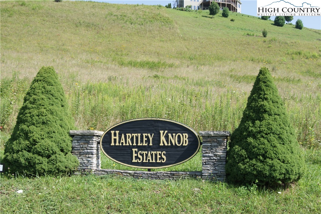 Hartley Knob Boone, NC 28607 - Photo 2 of 11 a view of garden