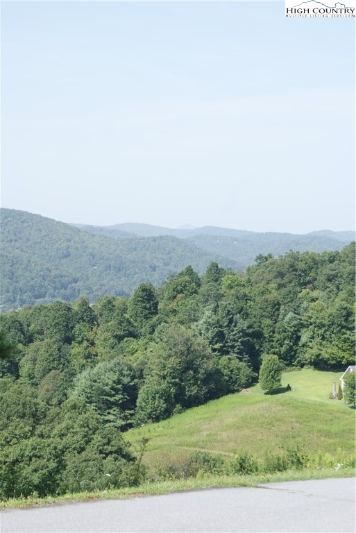 Hartley Knob Boone, NC 28607 - Photo 9 of 11 a view of a field of grass and trees