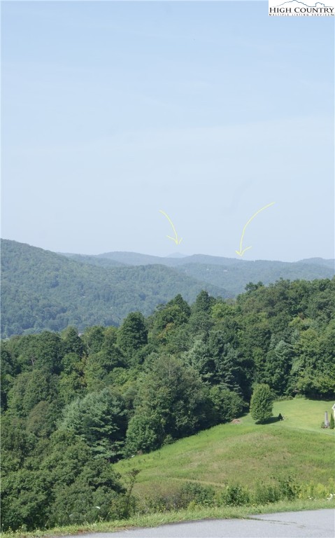 Hartley Knob Boone, NC 28607 - Photo 10 of 11 a view of a field with a tree in the background