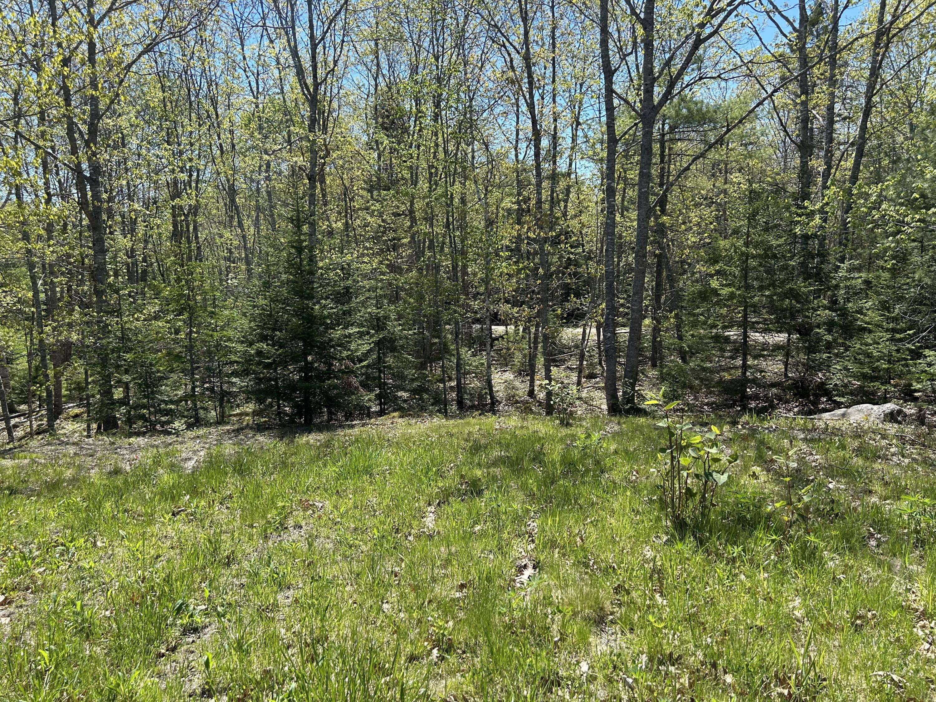 3 Cemetery Road Gouldsboro, ME 04607 - Photo 15 of 21 Edge of lawn looking toward Cemetery Rd