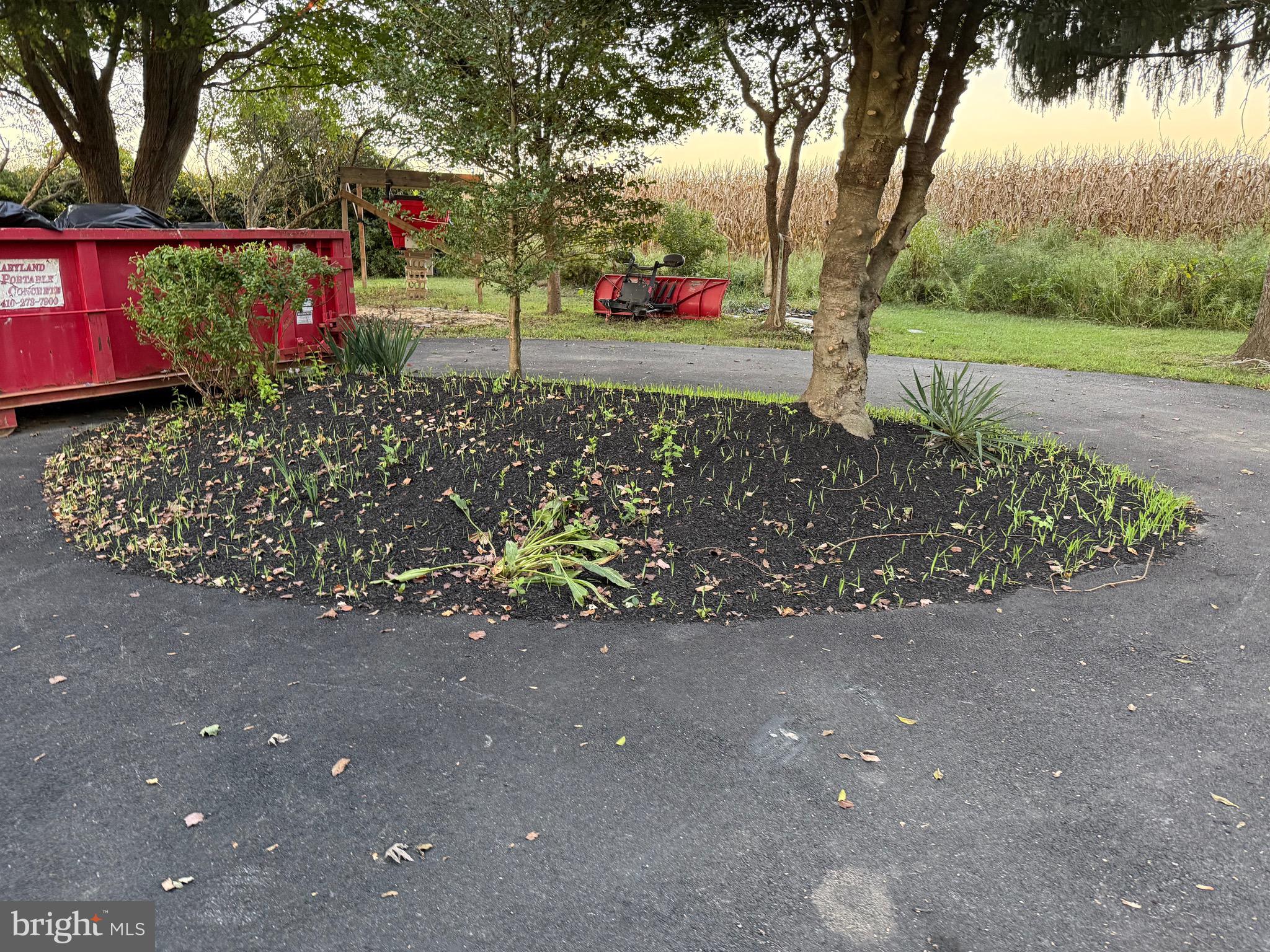 2926 Crystal Beach Road Earleville, MD 21919 - Photo 11 of 32 Driveway