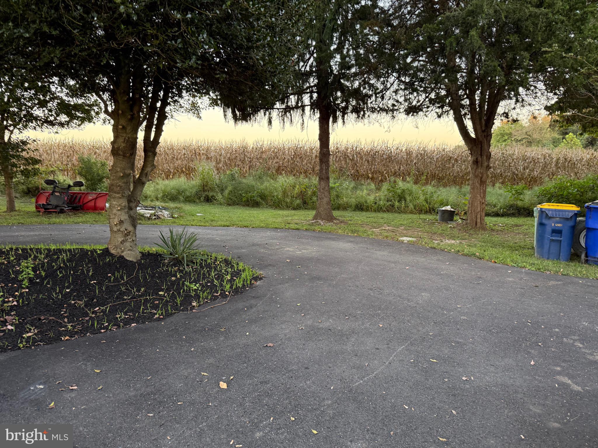 2926 Crystal Beach Road Earleville, MD 21919 - Photo 12 of 32 Driveway
