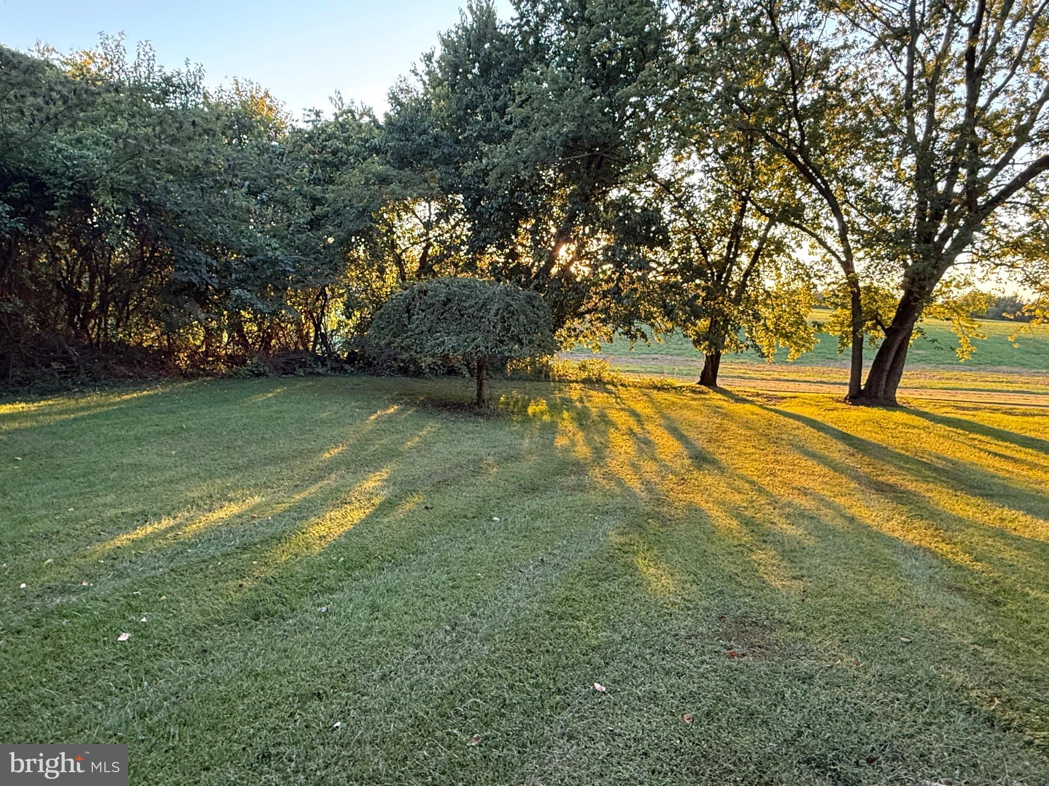 2926 Crystal Beach Road Earleville, MD 21919 - Photo 6 of 32 Front yard