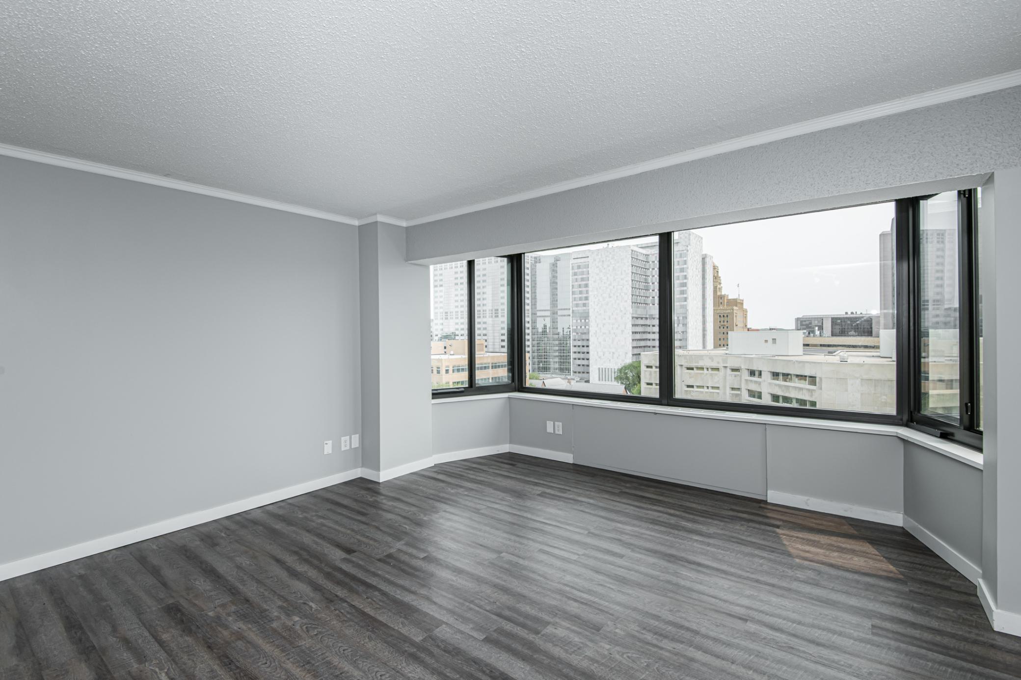 207 5th Avenue Southwest, Unit 805 Rochester, MN 55902 - Photo 28 of 60
