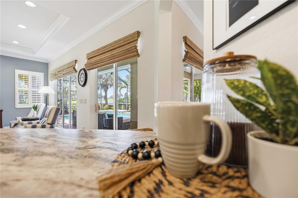 154 Rimini Way North Venice, FL 34275 - Photo 43 of 80
