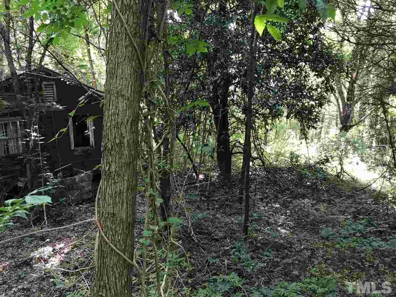 5906 Guess Road Durham, NC 27712 - Photo 3 of 9 a backyard of a house with lots of green space