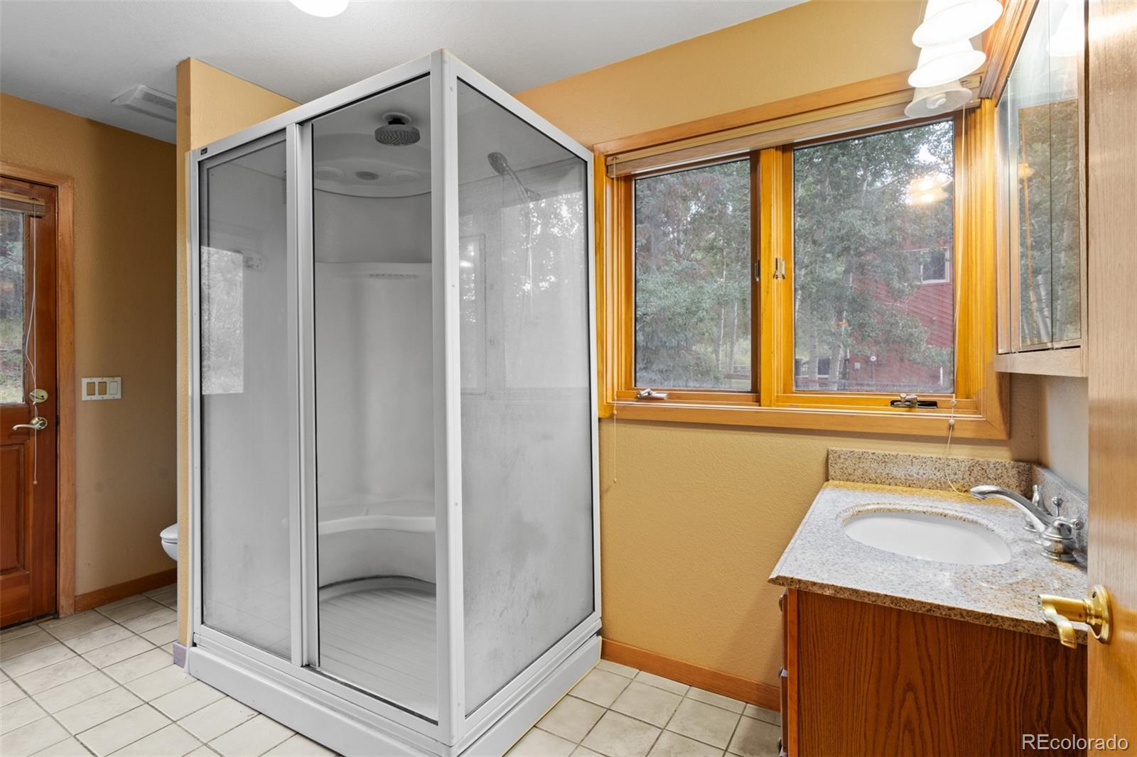868 Deer Path Road Dillon, CO 80435 - Photo 21 of 50 a bathroom with a sink and a shower