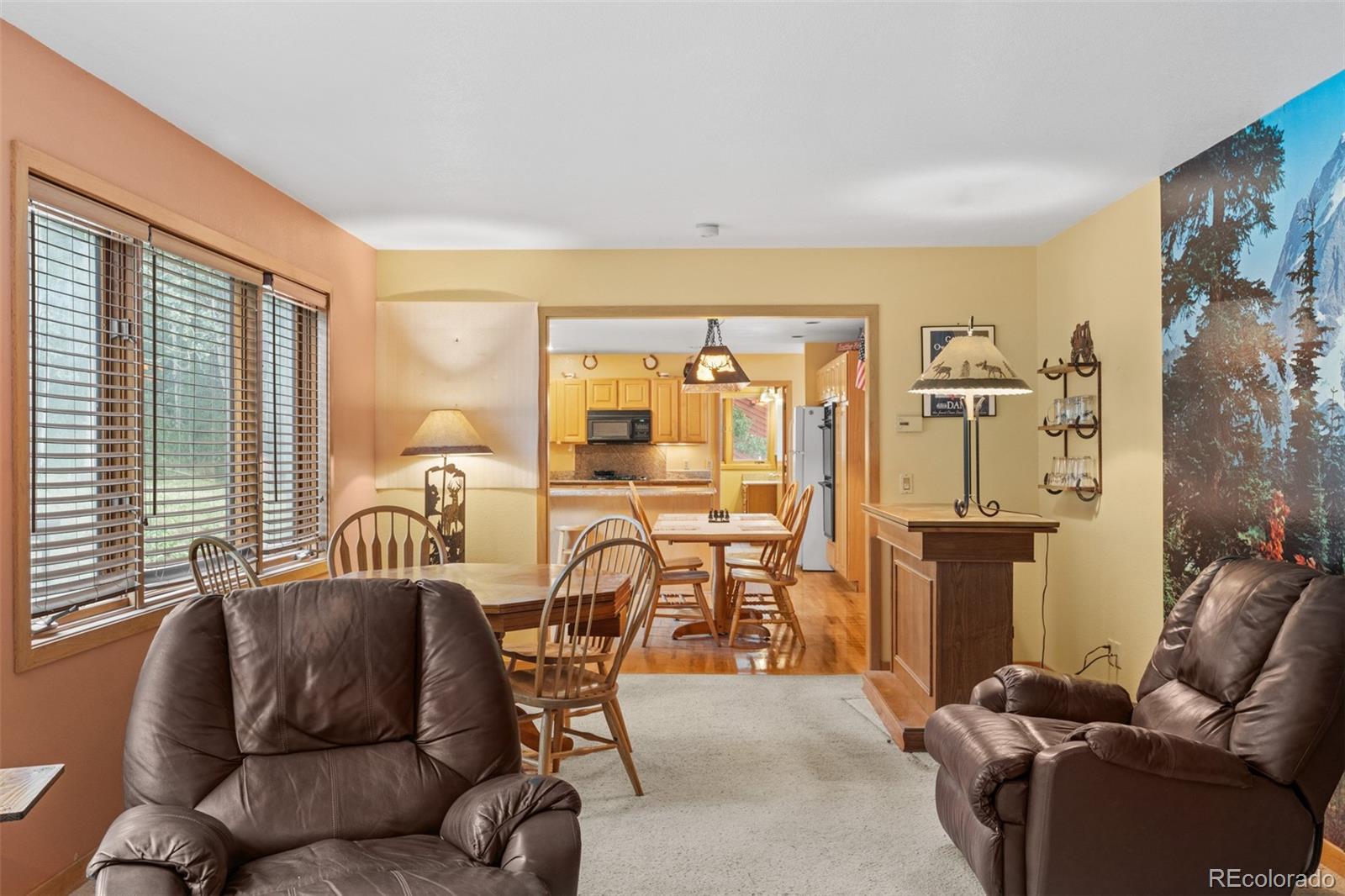 868 Deer Path Road Dillon, CO 80435 - Photo 31 of 50 a living room with furniture a flat screen tv and a window