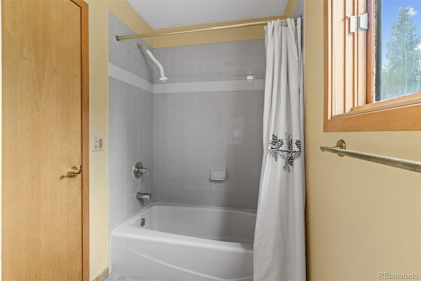 868 Deer Path Road Dillon, CO 80435 - Photo 47 of 50 a bathroom with a bathtub